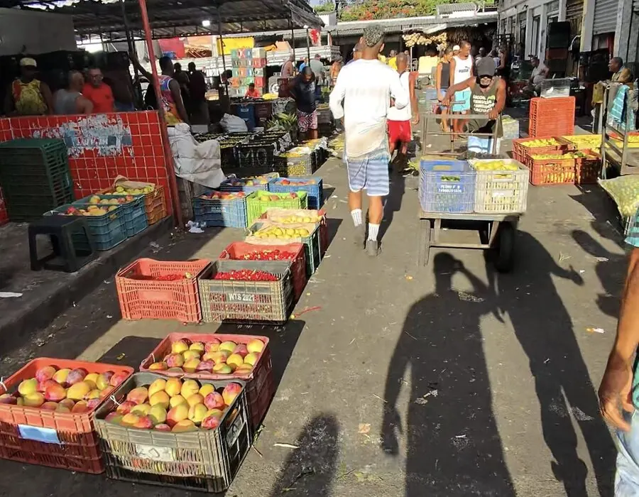 Feira livre com caixas de frutas e legumes durante o mapeamento do Feirou Brasil